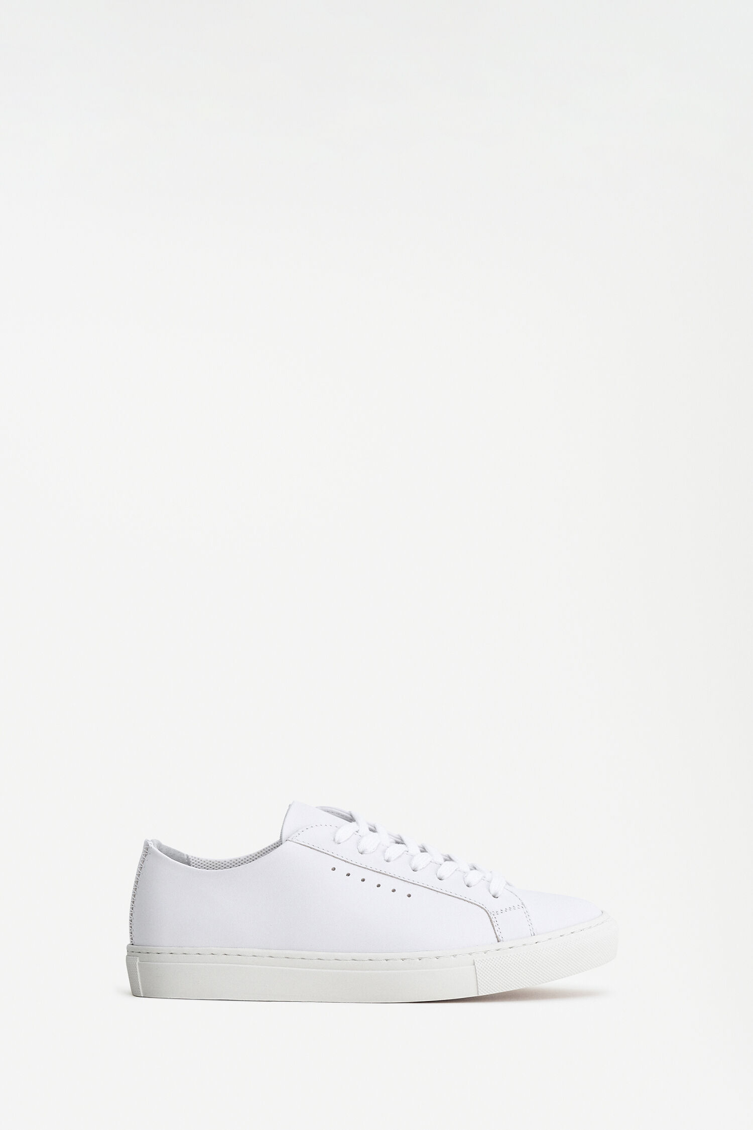 Kate Low Sneakers